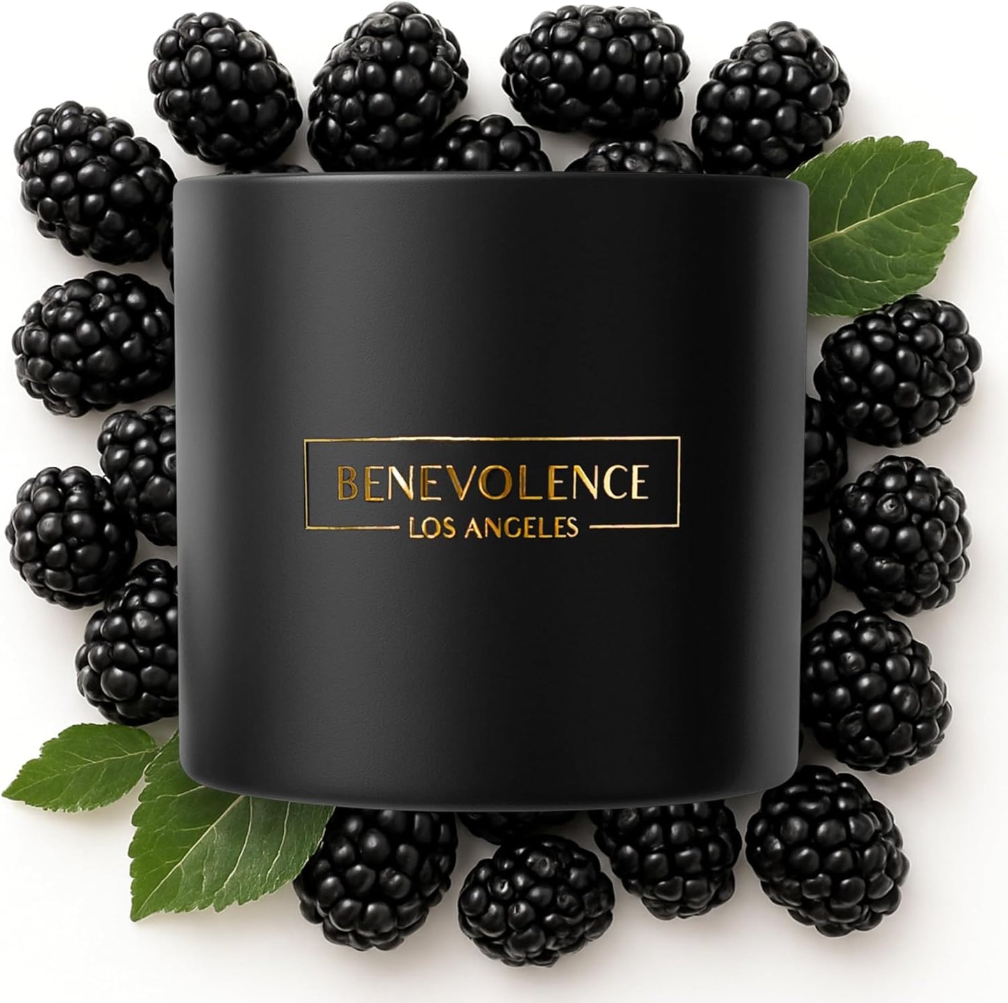 Bergamot & Jasmine Scented Candle | Soy Candles, Black Candle for Home | Gifts for Women and Men | Home Fragrance | Aromatherapy | 8Oz, 45 Hour Burn - Jasmine
